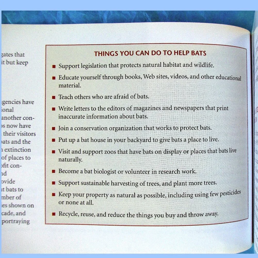 Book: Stokes Beginner's Guide to Bats -- a pocket-sized field guide - Picture 11 of 16